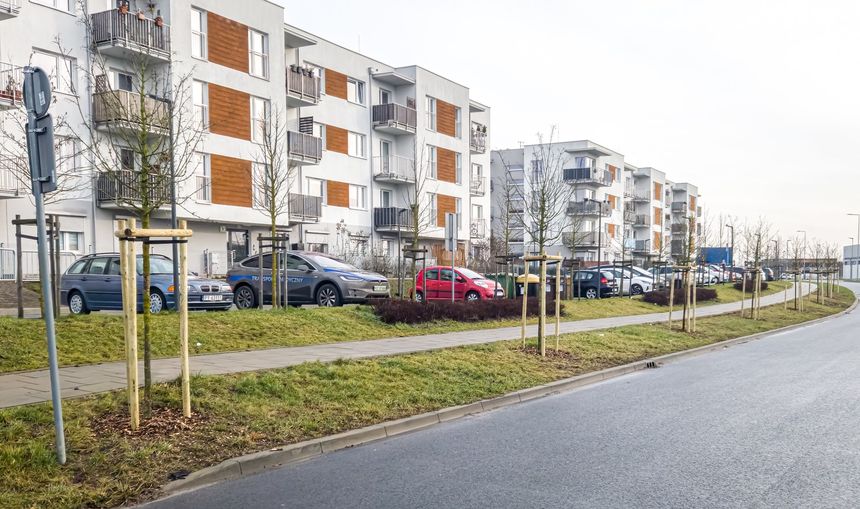 Nowe nasadzenia w Poznaniu