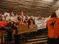 Protest studentów