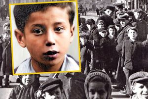 Shalom Koray