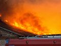 Pożar hali w fermie świń w Kołkach