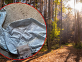 Balon z wyznaniem miłosnym w Nadleśnictwie Parciaki