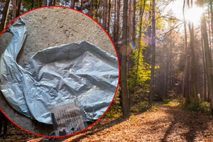 Balon z wyznaniem miłosnym w Nadleśnictwie Parciaki