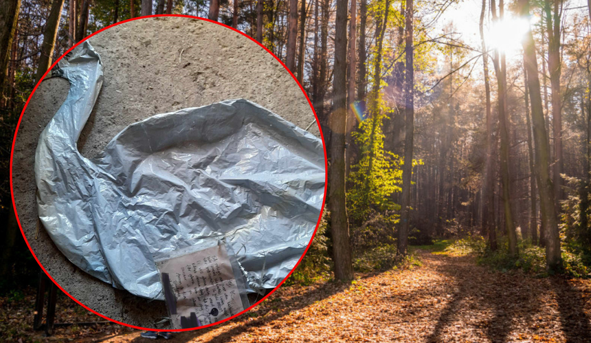 Balon z wyznaniem miłosnym w Nadleśnictwie Parciaki