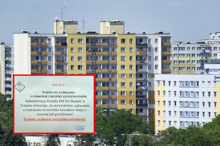 Blokowisko w Toruniu