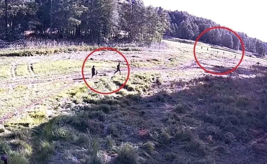 Migranci próbują przekroczyć polską granicę