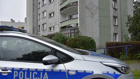 policja