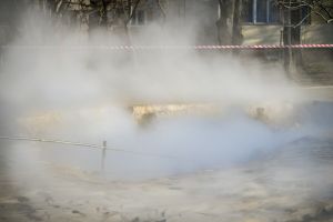 Zdjęcie ilustracyjne