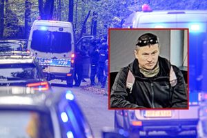 obława na Grzegorza Borysa