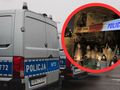Miejsce zabójstwa dwóch policjantów we Wrocławiu
