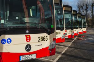 Autobusy w gdańskiej komunikacji