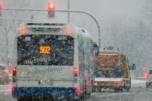 Śnieżyca