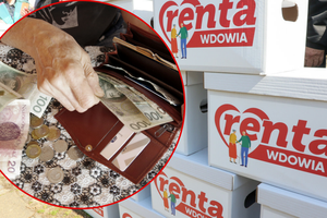 Renta wdowia - kiedy wejdzie w życie?