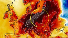 Mapa temperatury