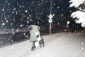 śnieżyce w prognozach