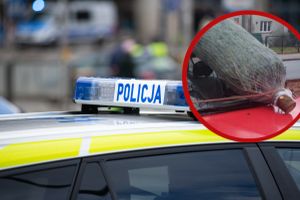 policja