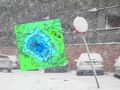 Wir polarny