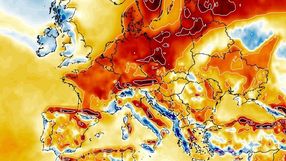 prognoza długoterminowa