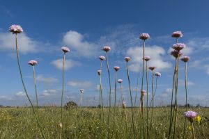 Zmiany klimatyczne w Hiszpanii