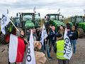 protest rolników