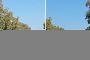Wypadek na Sardynii