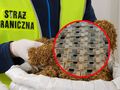 Zatrzymane osoby w Poznaniu