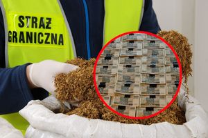 Zatrzymane osoby w Poznaniu