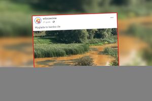 jezioro słoneczne zanieczyszczone