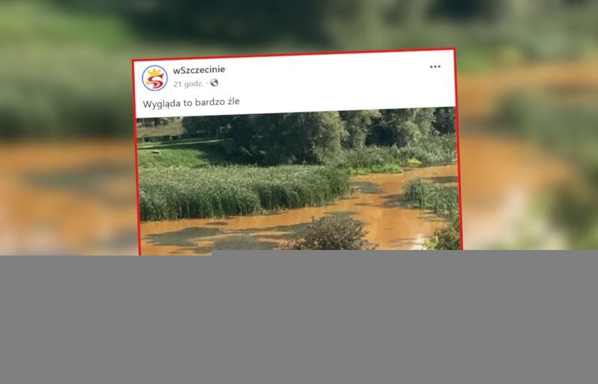 jezioro słoneczne zanieczyszczone