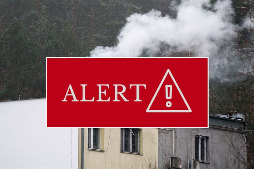 alert
