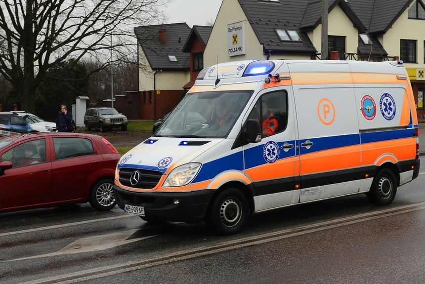 policja