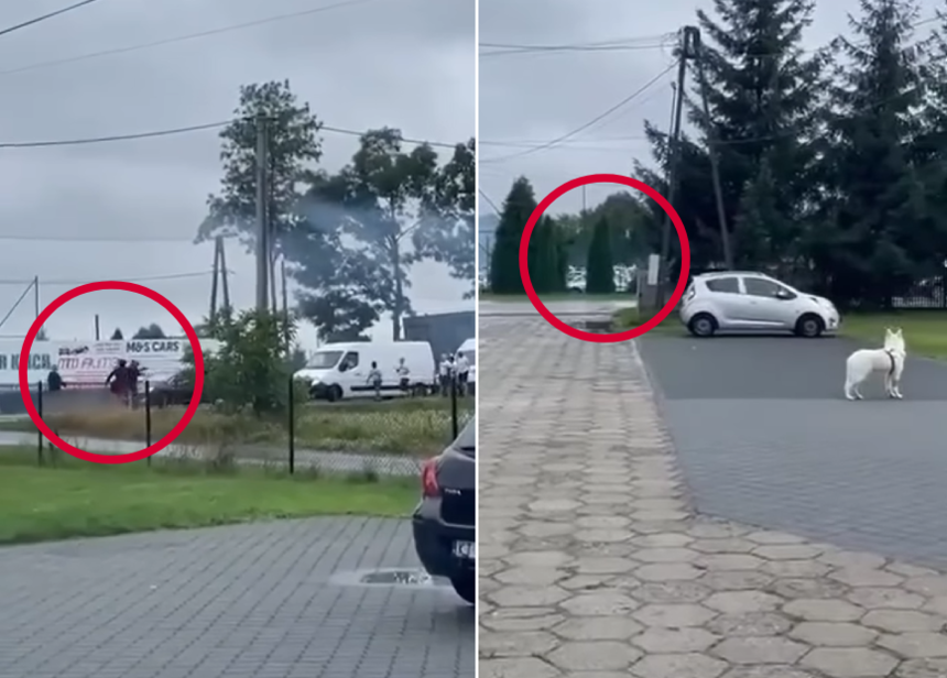 Atak pseudokibiców w Radłowie