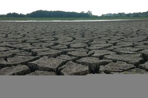 W miejscowości Skrzatusz wyschło jezioro