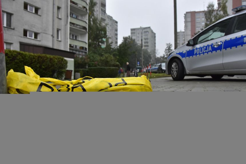 policja