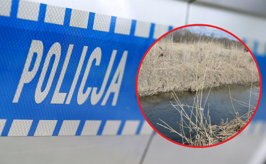 Policja