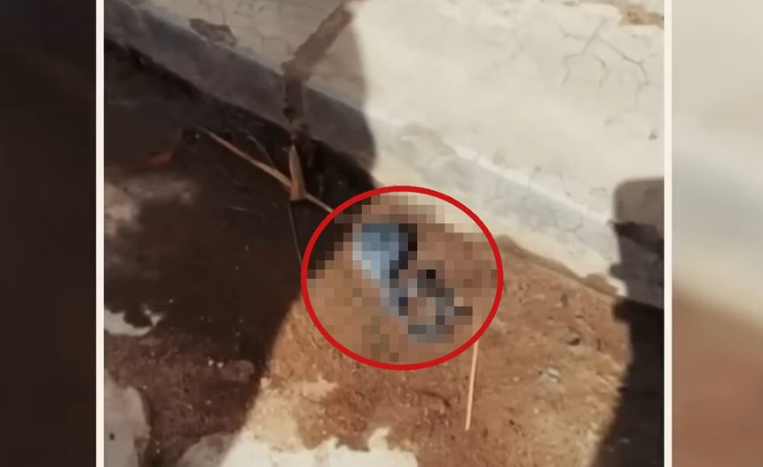 Mieszkańcy Hauriny twierdzą, że sfotografowali ciało kosmity