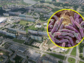 Rzeszów, legionella, dezynfekcja