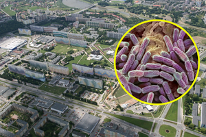 Rzeszów, legionella, dezynfekcja