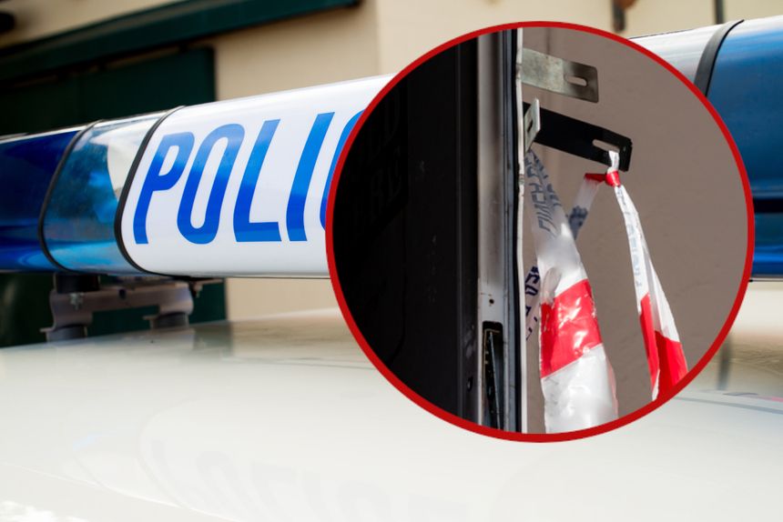 policja
