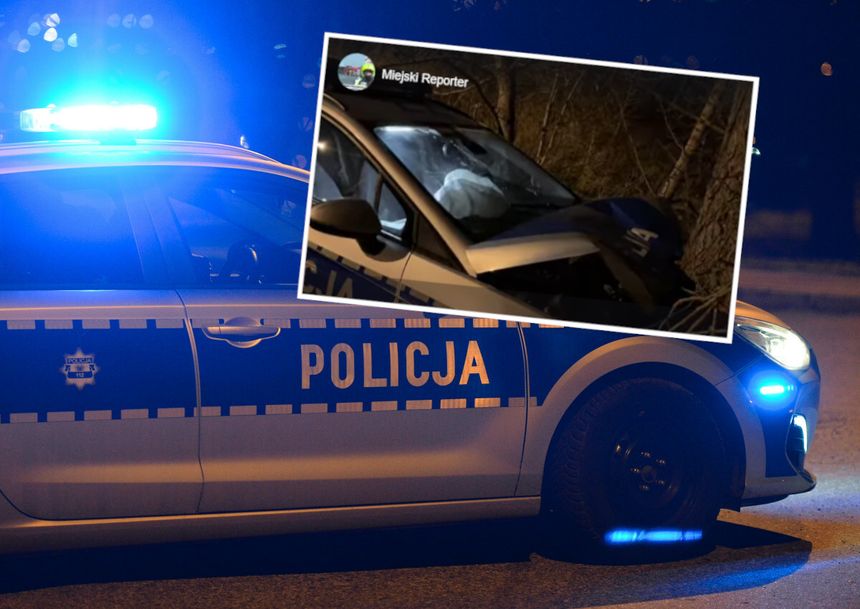 policja