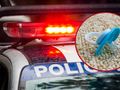 policja