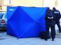 policja