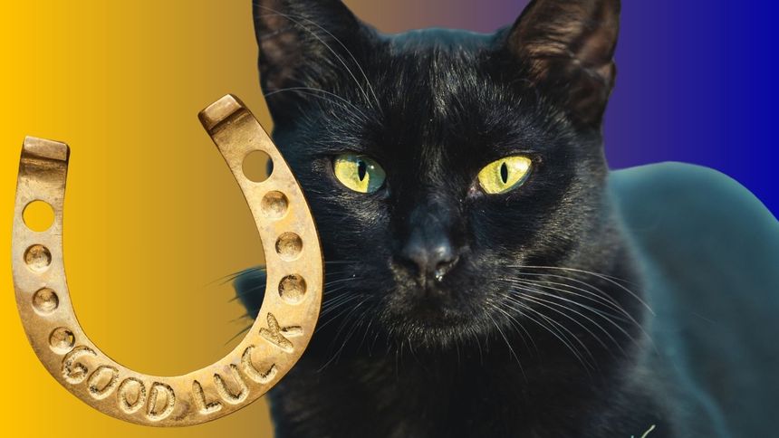 Quiz z polskich przesądów