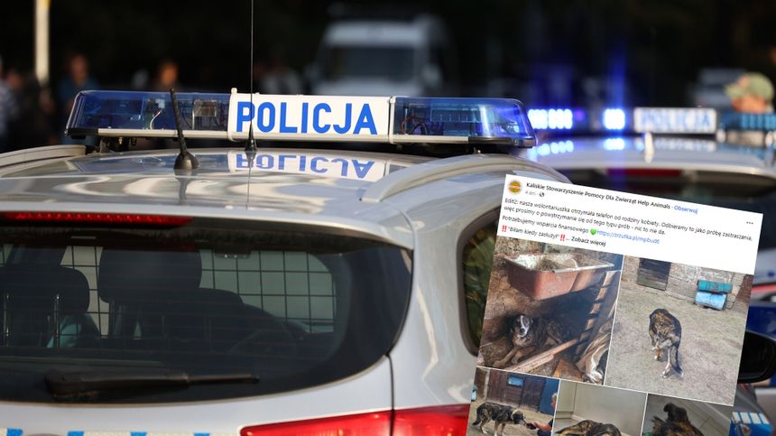 Policja