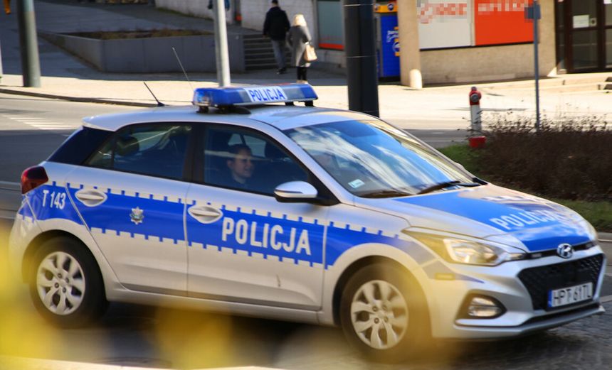 Zbójna, zabicie psów
