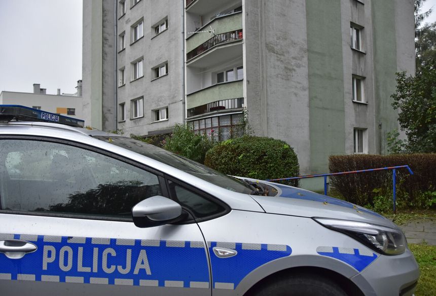 policja