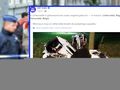 Belgia. Wypadek maserati, zginęli Polacy