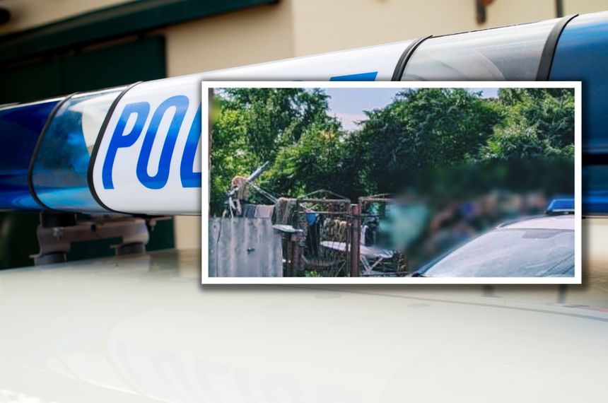 Policja