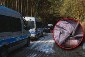 Policja prowadzi poszukiwania - zdj. ilustracyjne
