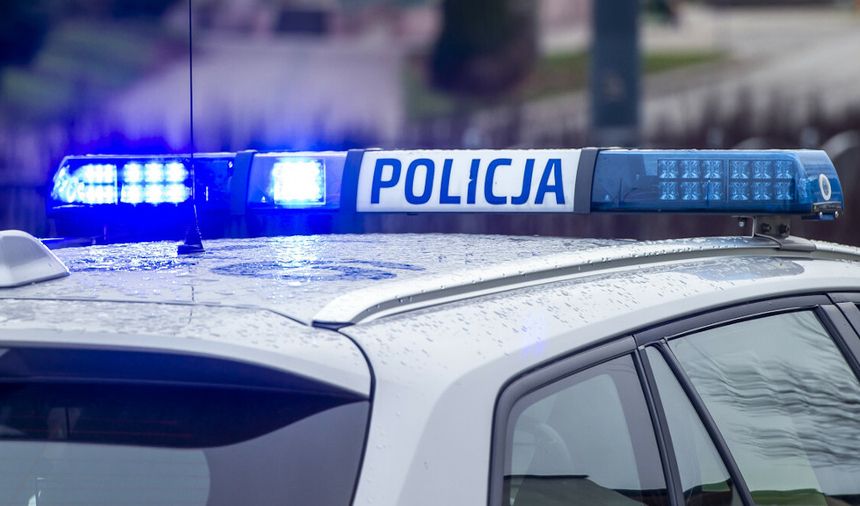 Borowiny. Postrzelenie 11-latki i zarzuty