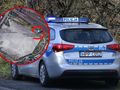 policja